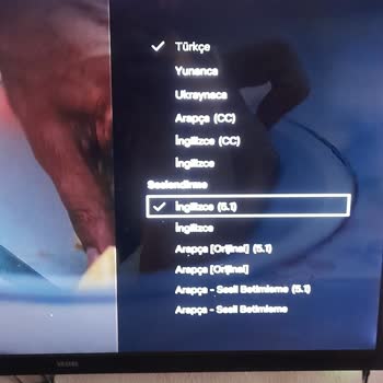 Netflix'te Türkçe Seslendirme Eksikliği