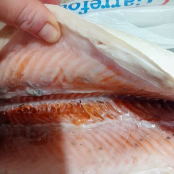 Bayat Balık Ve Kötü Hizmet Deneyimi