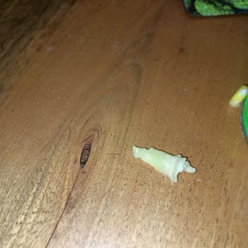 Superfresh Mısır Konservesinde Yabancı Madde Sorunu