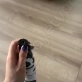 Morfose Saç Köpüğü Kusurlu!