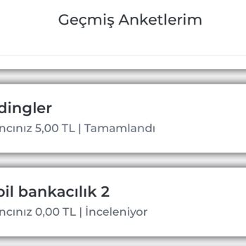 Banka Anketleri Ücret Sorunu Ve İletişim Eksikliği