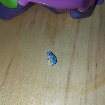 Müslinin İçinden Çıkan Plastik Madde Şoku