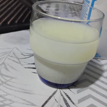 Bozuk Süt Ve İlgisizlik