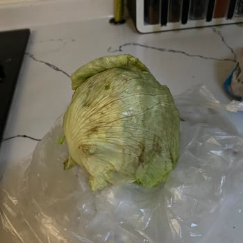 Göbekli Marul Ve Müşteri Hizmeti Sorunu