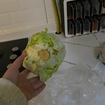 Göbekli Marul Ve Müşteri Hizmeti Sorunu