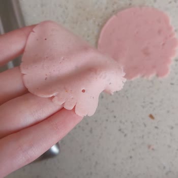 Marketten Alınan Salamda Beklenmedik Sürpriz