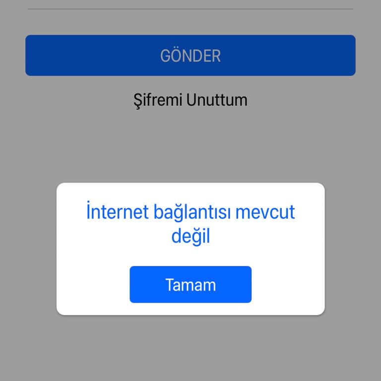 General HT 400 Termostat Uygulama Problemi Ve Destek Eksikliği