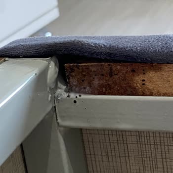 Mondi Home Ürünleri Ve Müşteri Hizmetleri Hayal Kırıklığı