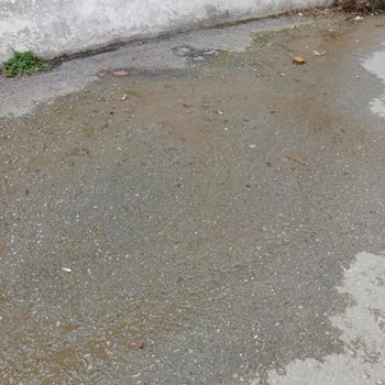 Kartal Belediyesi'nin İlgisizliği Ve Mahalledeki Sorunlar