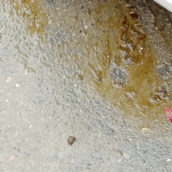 Kartal Belediyesi'nin İlgisizliği Ve Mahalledeki Sorunlar
