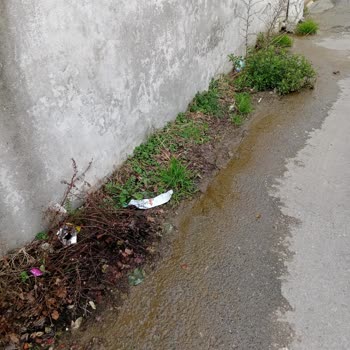 Kartal Belediyesi'nin İlgisizliği Ve Mahalledeki Sorunlar