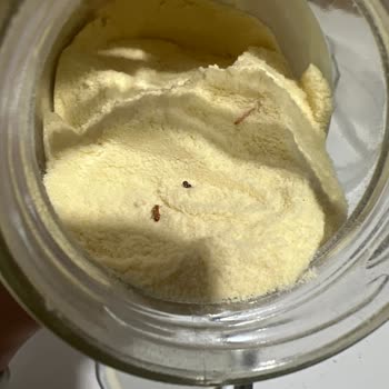 OG Store Bebek İrmiğinde Böcek ve Kurtlar Vardı