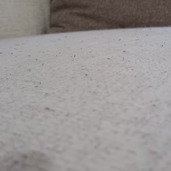 İstikbal Koltuk Takımında Tüylenme Sorunu