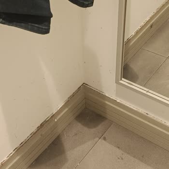 Alanya Koton Mağazasında Hijyen Ve Konfor Eksikliği