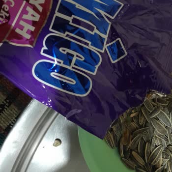 Şok Marketten Aldığım Çekirdekte Salyangoz Kabusu