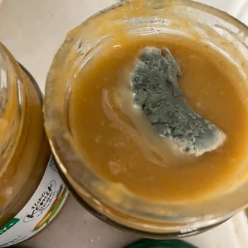 Veg&Bones Küflü Geldi