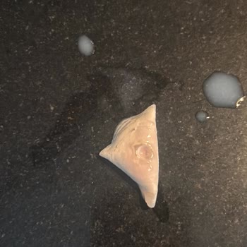 Torku Süt Skandalı: Bozuk Ürün Ve Sağlık Riski