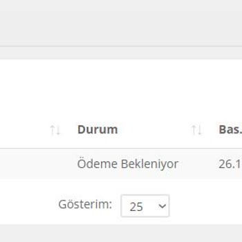 Ödeme Yapıldı, Hizmet Sağlanmadı: Destek Ve İletişim Eksikliği