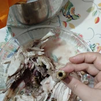 Hastavuk Piliçte Şüpheli Görüntü Ve Koku Sorunu