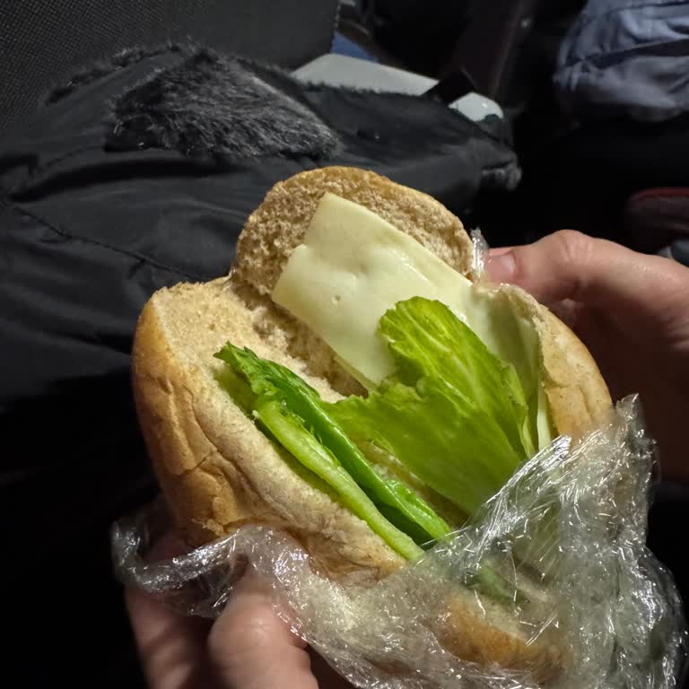 Hayal Kırıklığı Yaratan Uludağ Turu