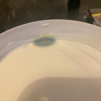 Sütaş Bozulmuş Yoğurt Şoku: Pahalı Ürün Çöpe Gitti