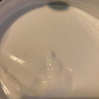 Sütaş Bozulmuş Yoğurt Şoku: Pahalı Ürün Çöpe Gitti