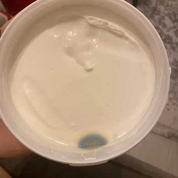 Sütaş Bozulmuş Yoğurt Şoku: Pahalı Ürün Çöpe Gitti