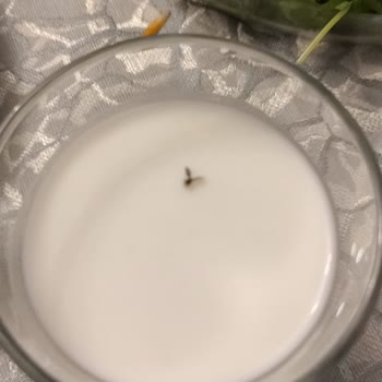 Ayran Şişesinden Çıkan Sinek Şoku