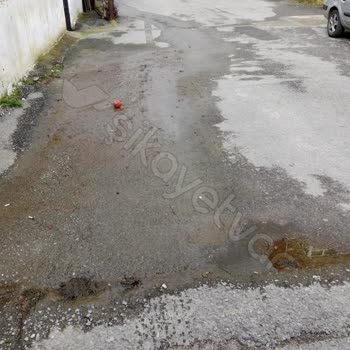 İstanbul Büyükşehir Belediyesi Kartal Belediyesi'nin İlgisizliği Ve Çözümsüzlük