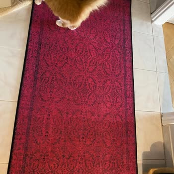 Yanlış Renk Ve İletişim Sorunları