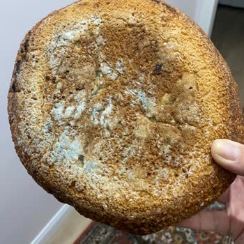 Altınşehir Fırını Kayapa Şubesi Küflü Ürün Satışı