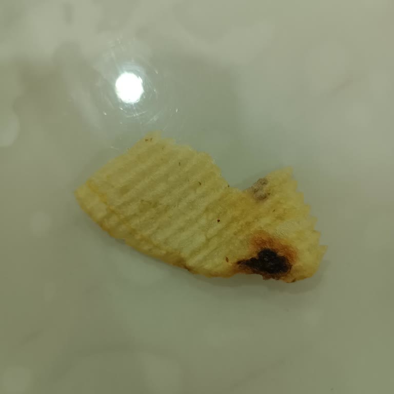 Cips Paketinde Şok Edici Buluntu