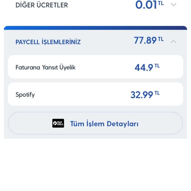 Beklenmedik Fatura Şoku: Spotify Üyelik Ücreti Sürprizi