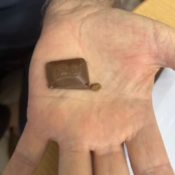 Nestle Çikolata İçinden Taş Çıkması Tehlikesi