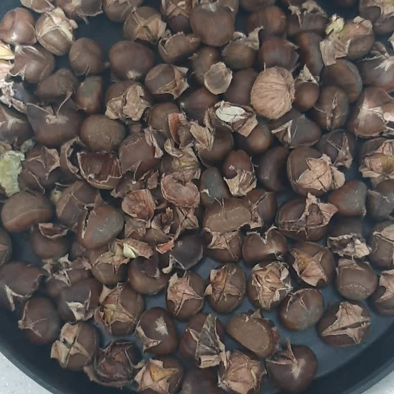 Altın Gross (Mamak) Aldığım Kestane Pişmiyor!