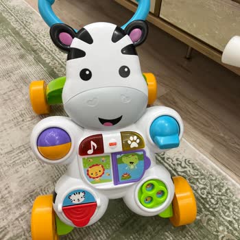 Eğitici Köpek Kumanda Ve Zebra Yürüteç Sorunları