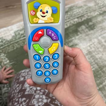 Eğitici Köpek Kumanda Ve Zebra Yürüteç Sorunları