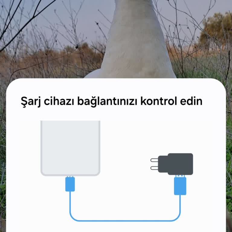 Yazılım Güncellemesi Sonrası Şarj Sorunu