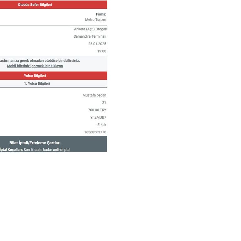 Metro Turizm'in Destek Eksikliği Yolcuları Mağdur Etti