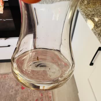 Samsung Bulaşık Makinesi: Hayal Kırıklığı Ve Çözüm Bulamayan Servis