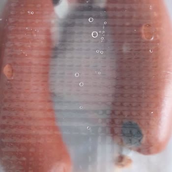 Maret Sucukta Beklenmedik Küflenme Sorunu