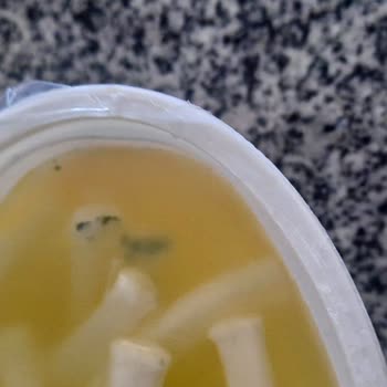 Ekici Peynir Çubukları Küflü Çıktı Tüketici Mağduriyeti