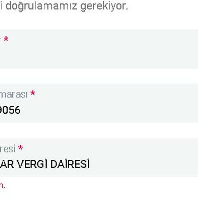 Vergi Dairesi Hatası İle Zaman Kaybı