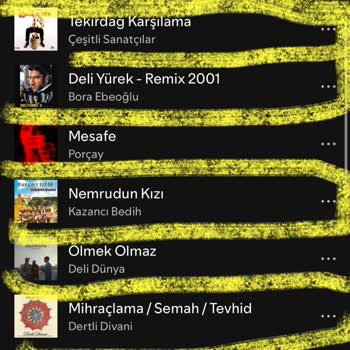 Spotify Algoritması Müzik Zevkimi Anlamıyor!