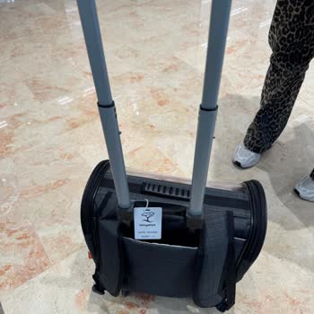 İstinyePark AVM'de Evcil Hayvan İçin Uygun Taşıma Çantası Eksikliği