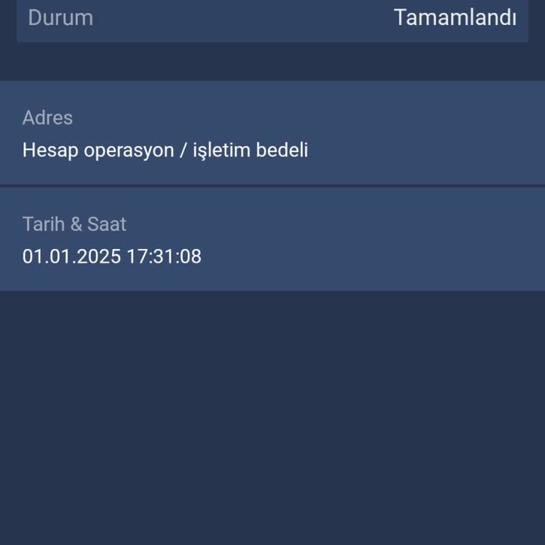Bitexen'de Hesap İşletim Bedeli Şoku: Bilgilendirme Eksikliği Ve Müşteri Hizmetleri Yanıtları