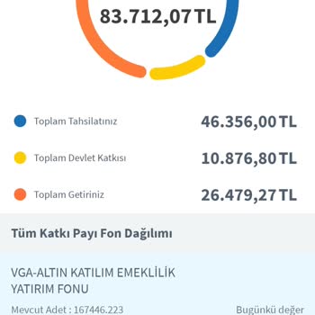 BES Yatırımı Ve Altın Fonundaki Kayıp