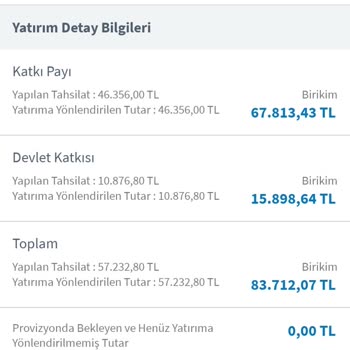 BES Yatırımı Ve Altın Fonundaki Kayıp