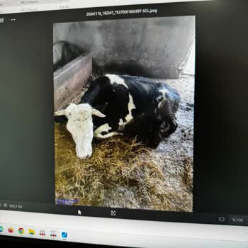 Sigorta Eksperinin Hatalı Fotoğraf Çekimi Mağduriyet Yaratıyor