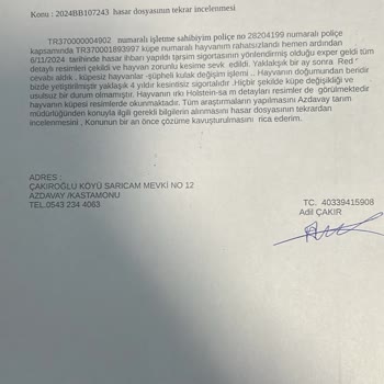 Sigorta Eksperinin Hatalı Fotoğraf Çekimi Mağduriyet Yaratıyor